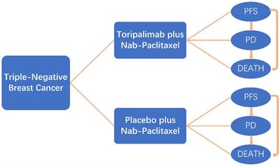 Cost-effectiveness analysis of toripalimab for metastatic or recurrent triple-negative breast cancer